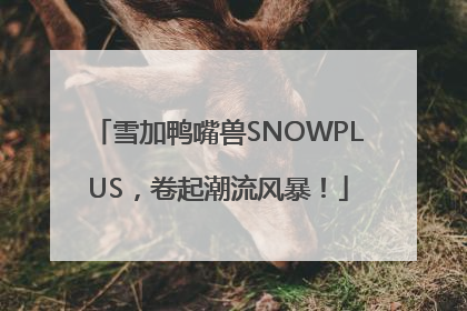 雪加鸭嘴兽SNOWPLUS，卷起潮流风暴！