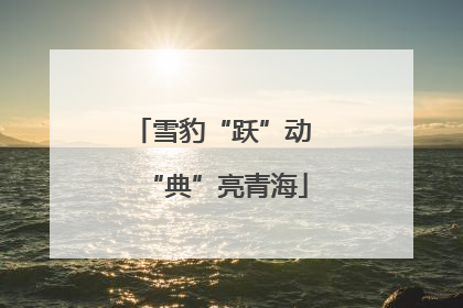 雪豹“跃”动 “典”亮青海