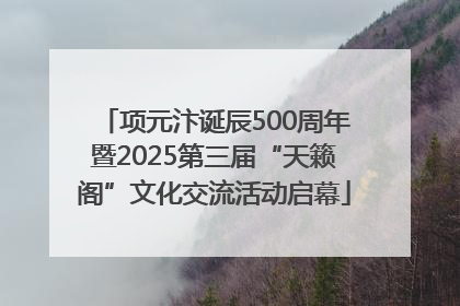 项元汴诞辰500周年暨2025第三届“天籁阁”文化交流活动启幕
