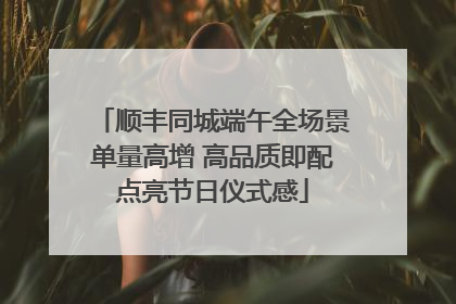 顺丰同城端午全场景单量高增 高品质即配点亮节日仪式感