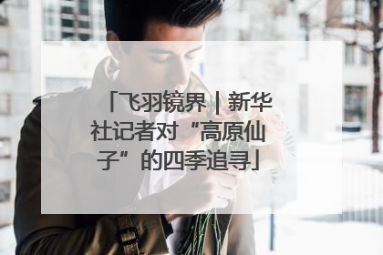 飞羽镜界｜新华社记者对“高原仙子”的四季追寻