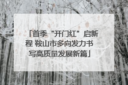 首季“开门红”启新程 鞍山市多向发力书写高质量发展新篇