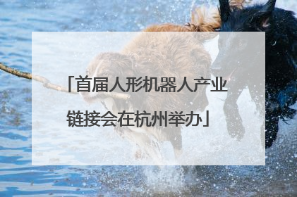首届人形机器人产业链接会在杭州举办