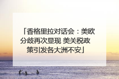 香格里拉对话会：美欧分歧再次显现 美关税政策引发各大洲不安