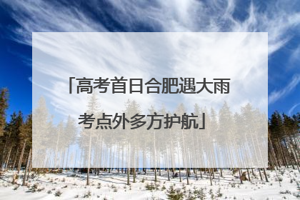高考首日合肥遇大雨 考点外多方护航