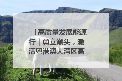 高质量发展能源行｜勇立潮头，激活粤港澳大湾区高质量发展动力源