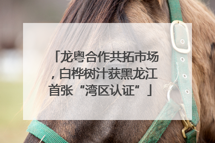 龙粤合作共拓市场，白桦树汁获黑龙江首张“湾区认证”