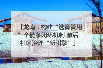 龙南：构建“选育管用”全链条闭环机制 激活社区治理“新引擎”