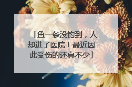 鱼一条没钓到，人却进了医院！最近因此受伤的还真不少