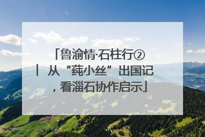 鲁渝情·石柱行② ︳从“莼小丝”出国记，看淄石协作启示