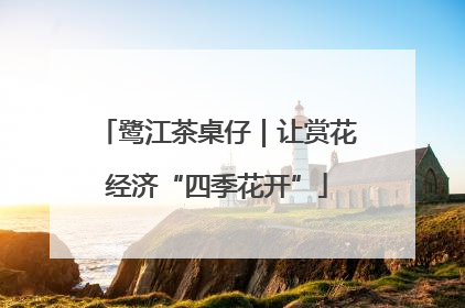 鹭江茶桌仔｜让赏花经济“四季花开”