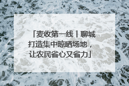 麦收第一线丨聊城打造集中晾晒场地，让农民省心又省力