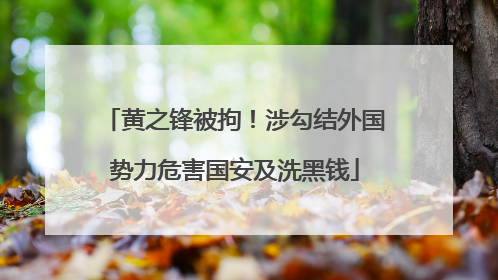 黄之锋被拘！涉勾结外国势力危害国安及洗黑钱