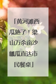 黄河滩西瓜熟了！梁山万余亩沙瓤瓜直达市民餐桌
