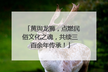 黄舆龙狮，点燃民俗文化之魂，共续三百余年传承！