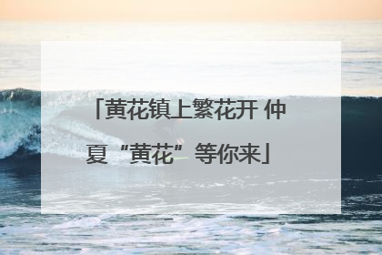 黄花镇上繁花开 仲夏“黄花”等你来