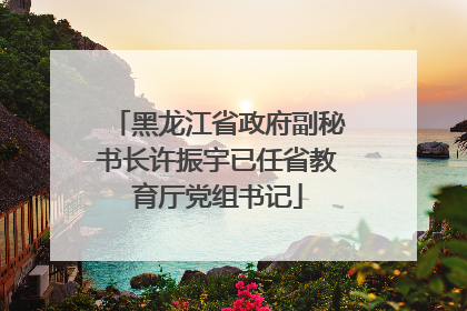 黑龙江省政府副秘书长许振宇已任省教育厅党组书记