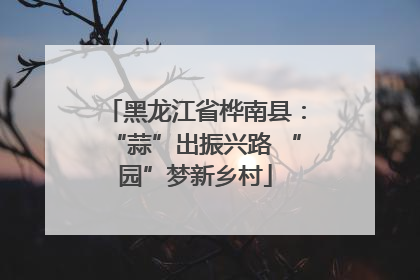 黑龙江省桦南县：“蒜”出振兴路 “园”梦新乡村