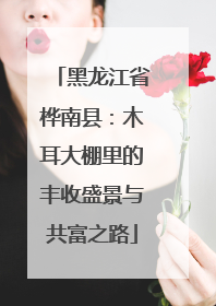 黑龙江省桦南县：木耳大棚里的丰收盛景与共富之路