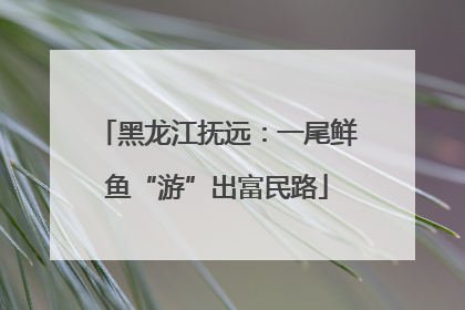 黑龙江抚远：一尾鲜鱼“游”出富民路