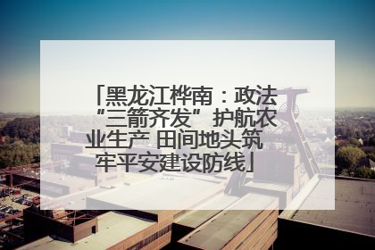 黑龙江桦南：政法“三箭齐发”护航农业生产 田间地头筑牢平安建设防线