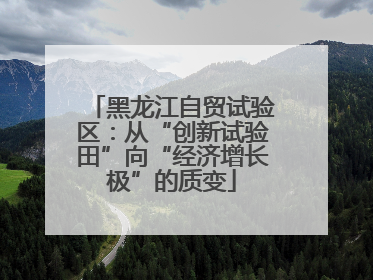 黑龙江自贸试验区：从“创新试验田”向“经济增长极”的质变