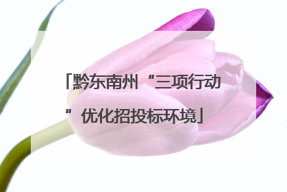 黔东南州“三项行动”优化招投标环境