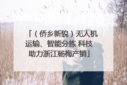 （侨乡新貌）无人机运输、智能分拣 科技助力浙江杨梅产销