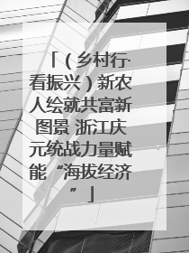 （乡村行·看振兴）新农人绘就共富新图景 浙江庆元统战力量赋能“海拔经济”