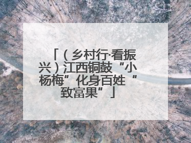 （乡村行·看振兴）江西铜鼓“小杨梅”化身百姓“致富果”