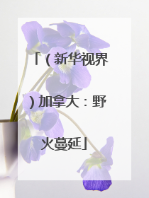 （新华视界）加拿大：野火蔓延