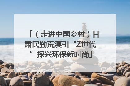 （走进中国乡村）甘肃民勤荒漠引“Z世代”探兴环保新时尚