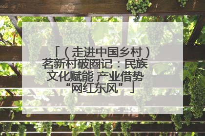 （走进中国乡村）茗新村破圈记：民族文化赋能 产业借势 “网红东风”