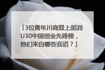 3位青年川商登上胡润U30中国创业先锋榜，他们来自哪些赛道？