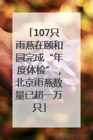 107只雨燕在颐和园完成“年度体检”，北京雨燕数量已超一万只