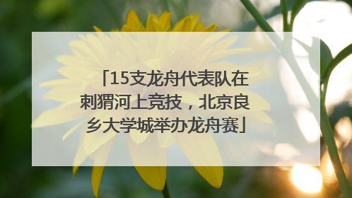 15支龙舟代表队在刺猬河上竞技，北京良乡大学城举办龙舟赛