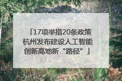 17项举措20条政策 杭州发布建设人工智能创新高地新“路径”