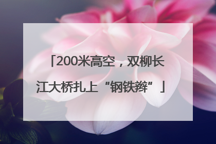 200米高空，双柳长江大桥扎上“钢铁辫”
