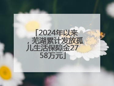 2024年以来，芜湖累计发放孤儿生活保障金2758万元