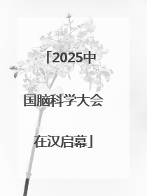 2025中国脑科学大会在汉启幕