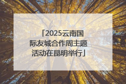 2025云南国际友城合作周主题活动在昆明举行