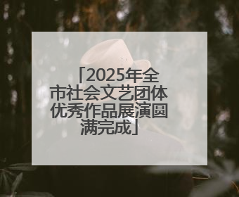 2025年全市社会文艺团体优秀作品展演圆满完成