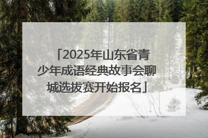 2025年山东省青少年成语经典故事会聊城选拔赛开始报名