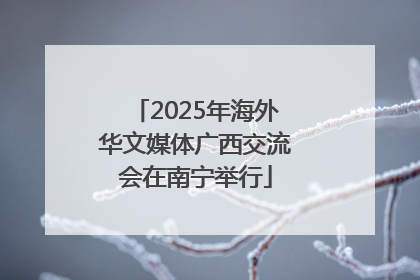 2025年海外华文媒体广西交流会在南宁举行