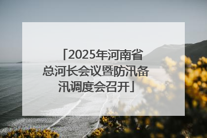 2025年河南省总河长会议暨防汛备汛调度会召开