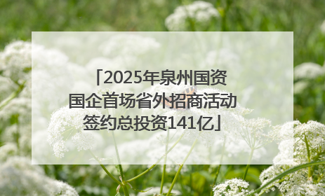 2025年泉州国资国企首场省外招商活动签约总投资141亿