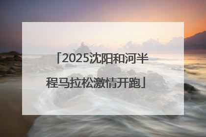 2025沈阳和河半程马拉松激情开跑