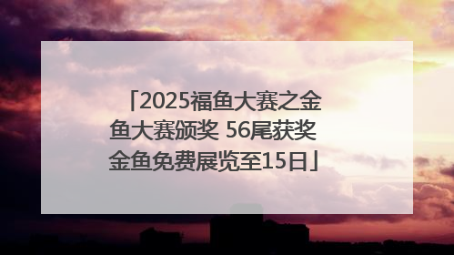 2025福鱼大赛之金鱼大赛颁奖 56尾获奖金鱼免费展览至15日