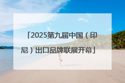 2025第九届中国（印尼）出口品牌联展开幕