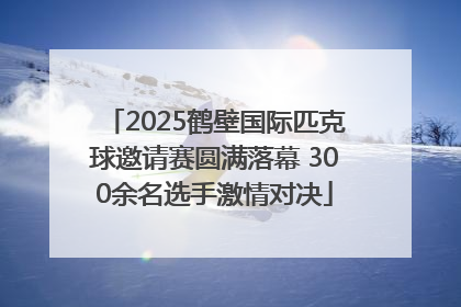 2025鹤壁国际匹克球邀请赛圆满落幕 300余名选手激情对决